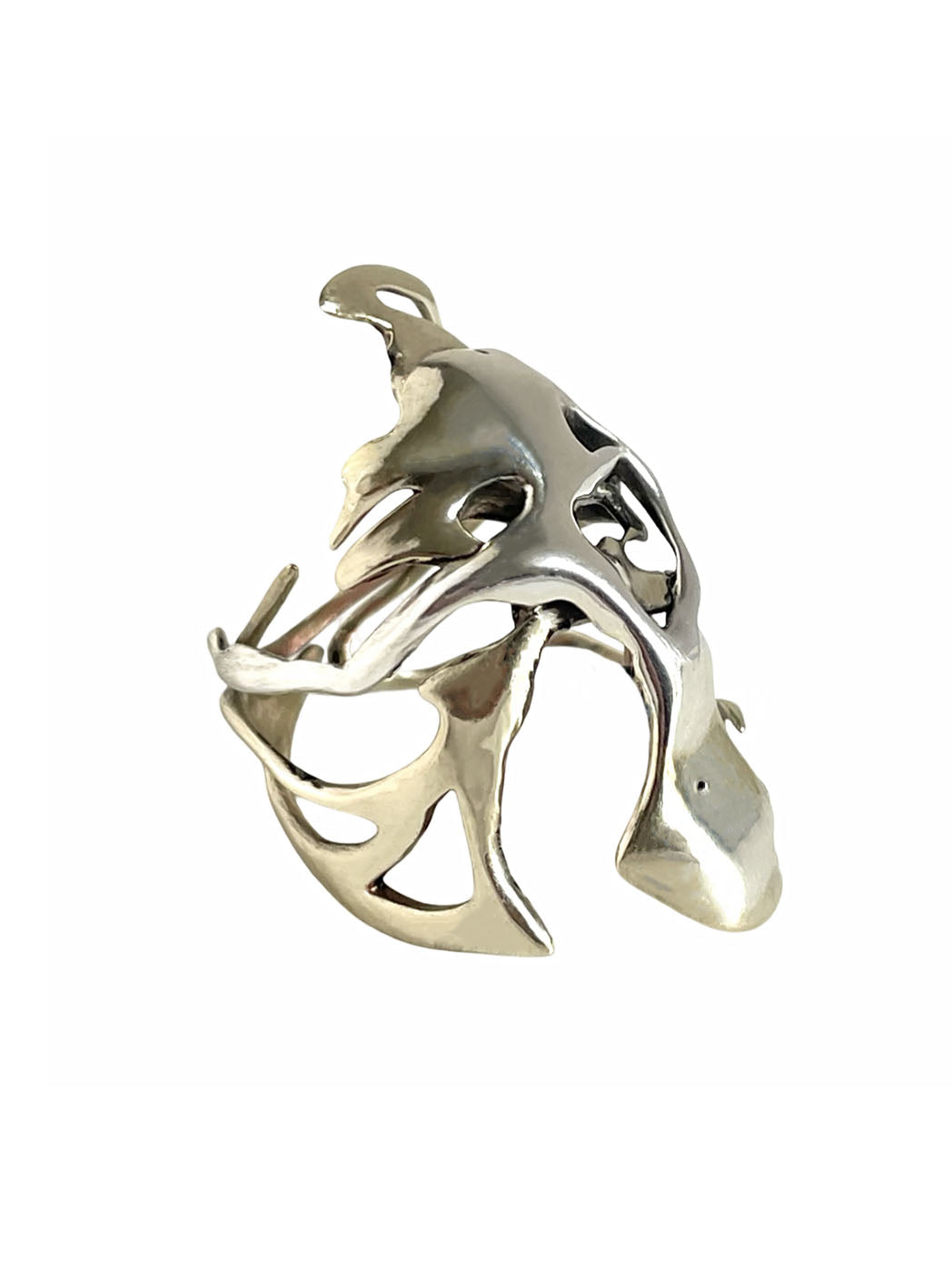 SCUTUM RING