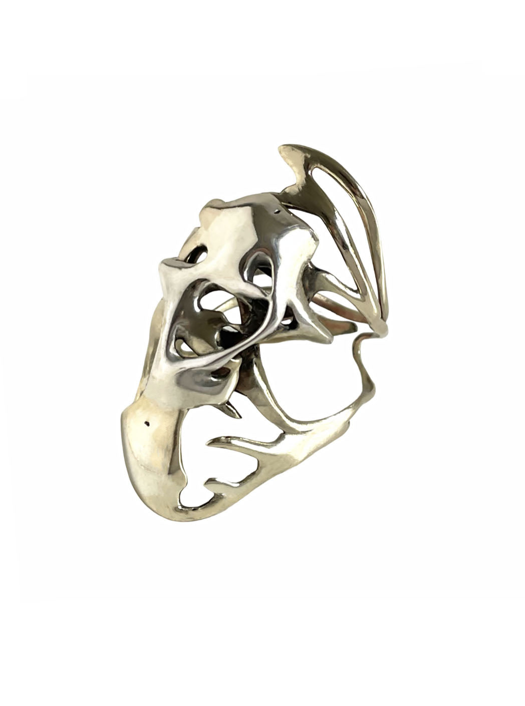 SCUTUM RING